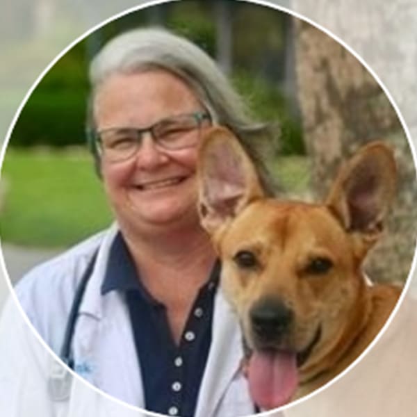 Dr. Christine Jenkins, Orlando Veterinarian